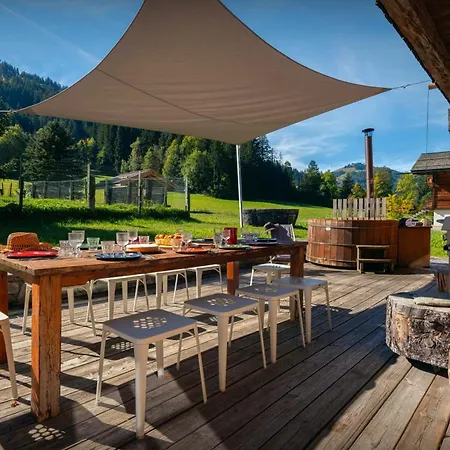 Patagonia - Ovo Network