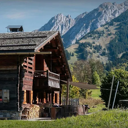Patagonia - Ovo Network Alpstuga La Clusaz